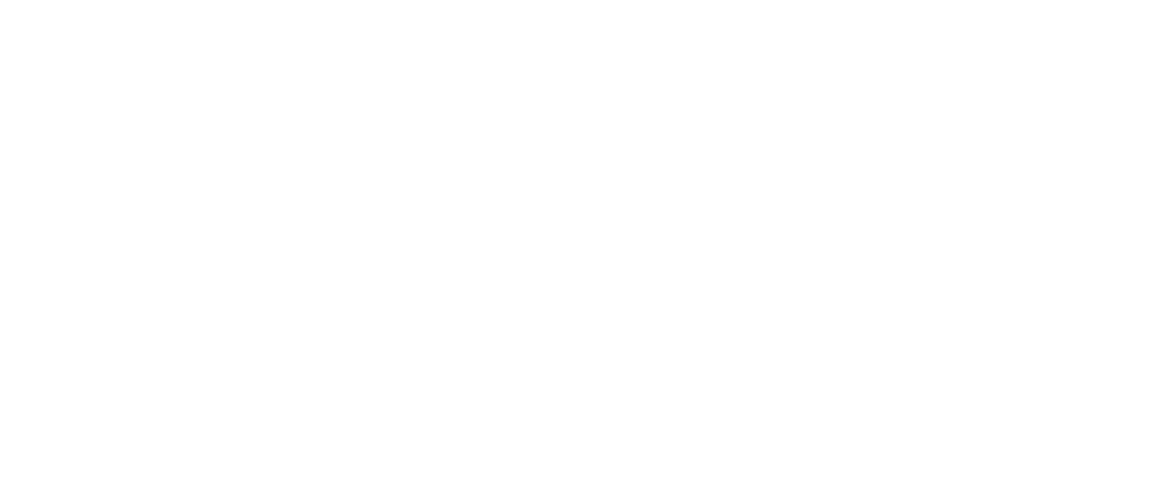 Anoka County logo